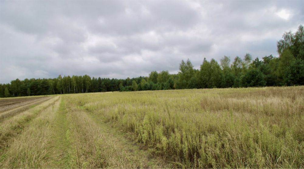 Działka budowlana 1000 m2 - Teodorów k. Siedlec