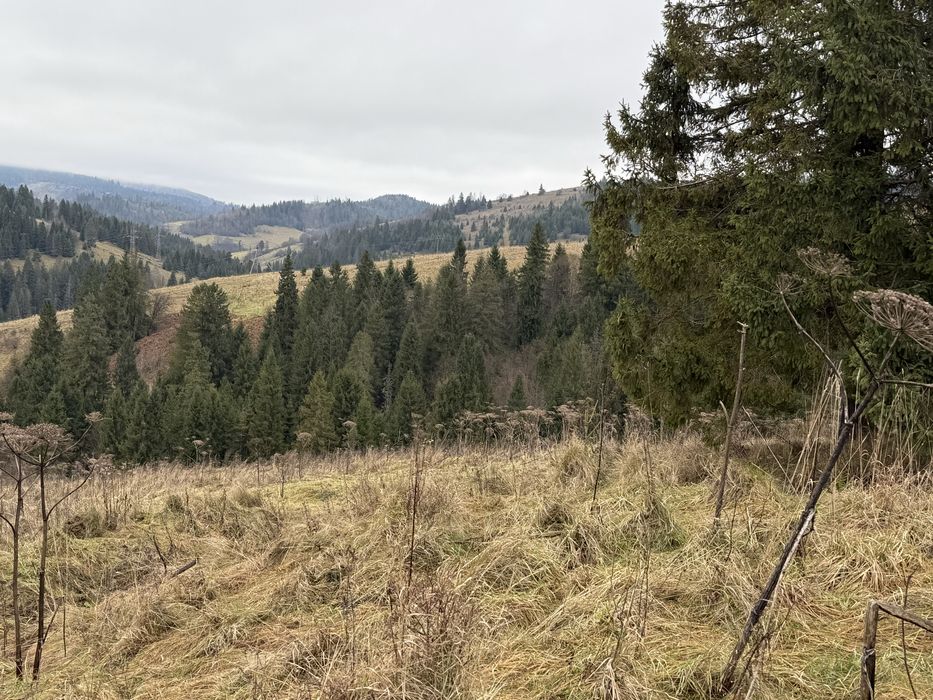 Продається ділянка осг в с. Пилипець