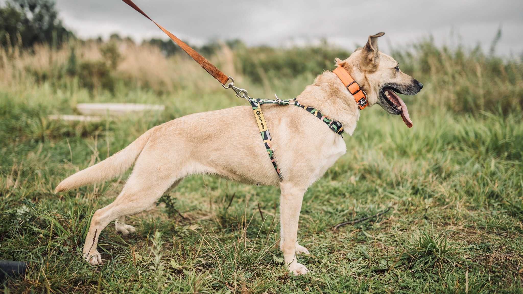 Tereska - Tesa aktywna dziewczyna szuka fajnych ludzi ADOPCJA