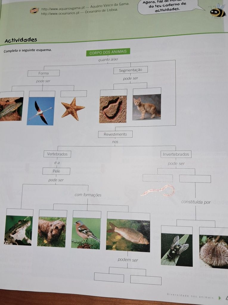 Manual e caderno de Atividades Ciências 5° ano