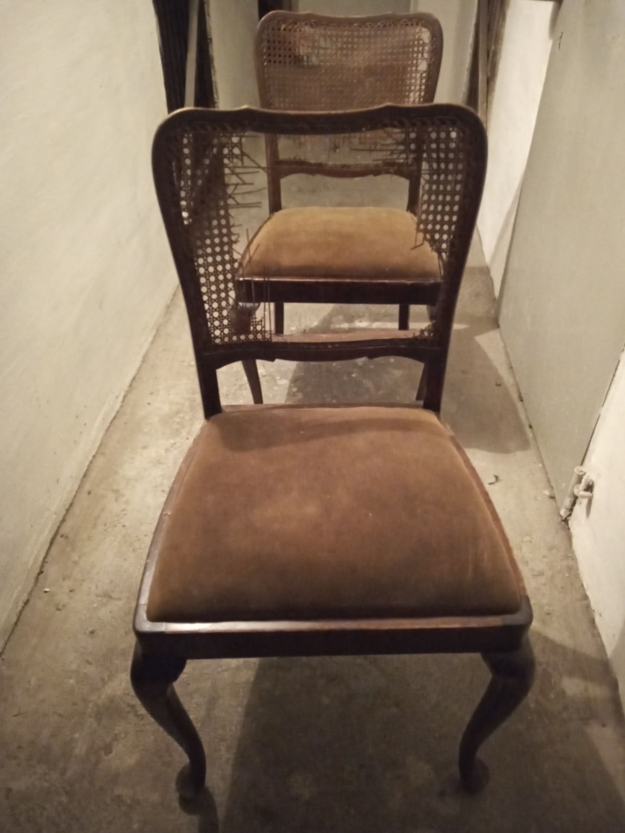 Stare dwa przedwojenne krzesła