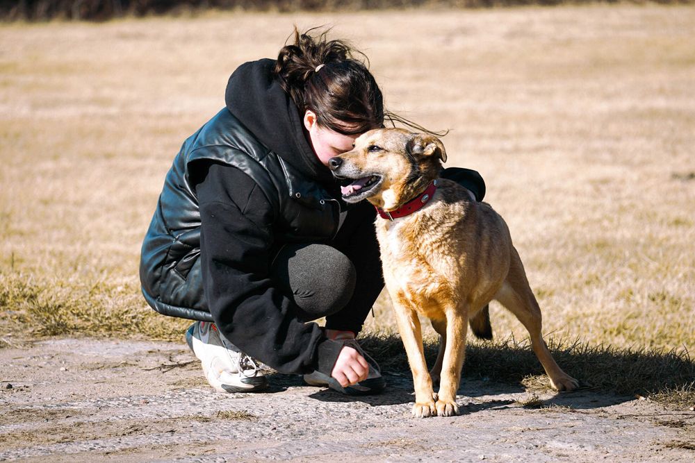 Merlin - niewielki, rudy piesek