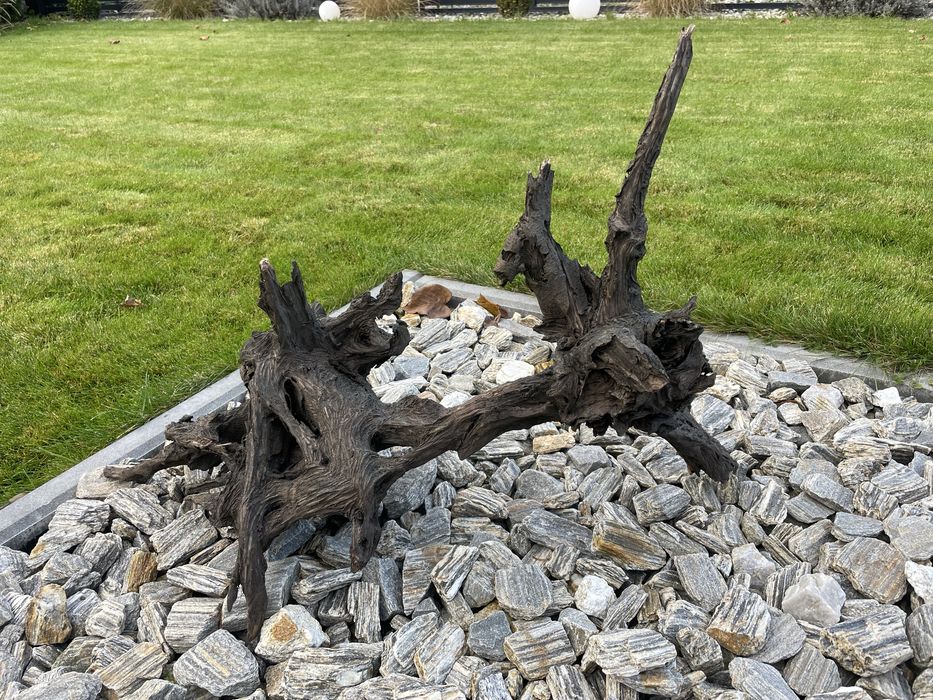 Korzenie do akwarium/terarium.