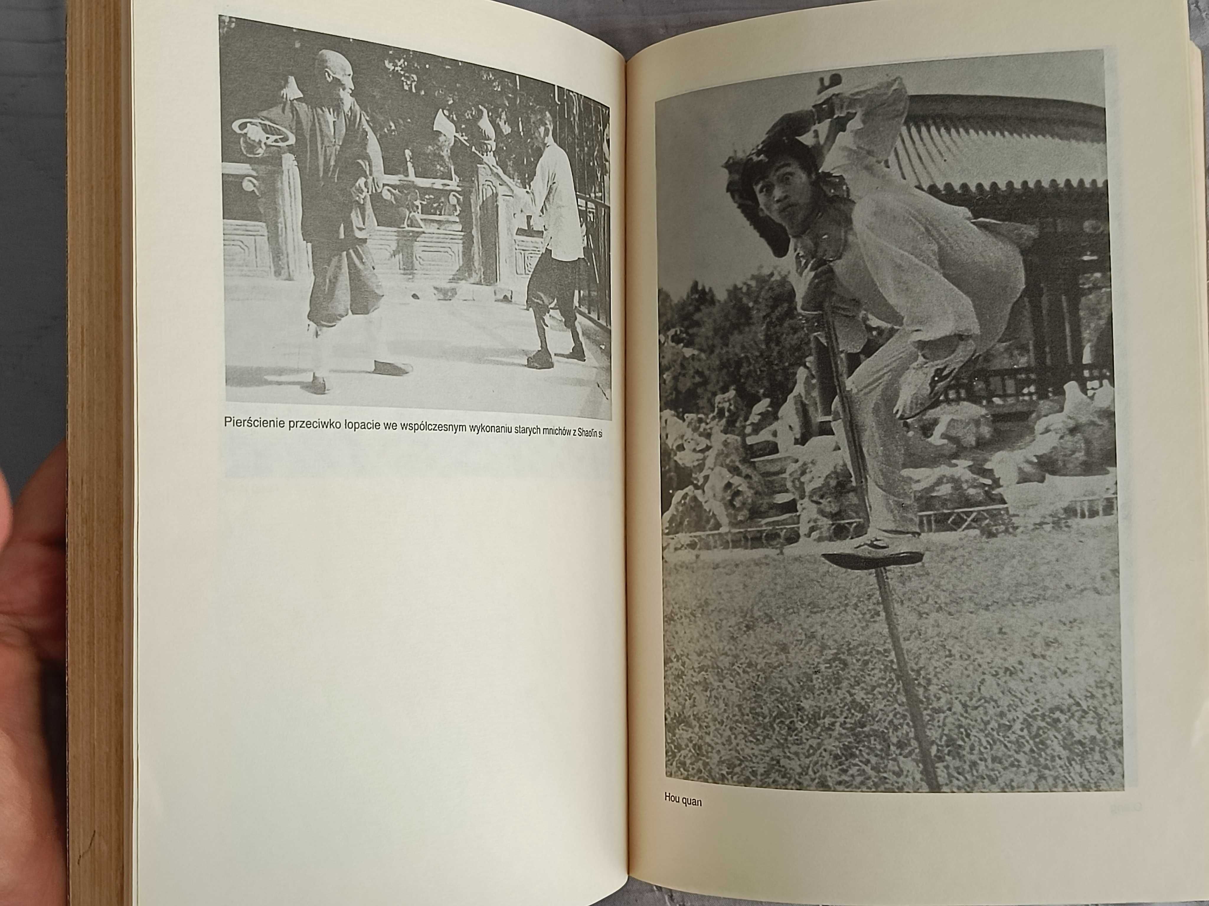 Kung Fu Wu Shu. Chińska sztuka walki