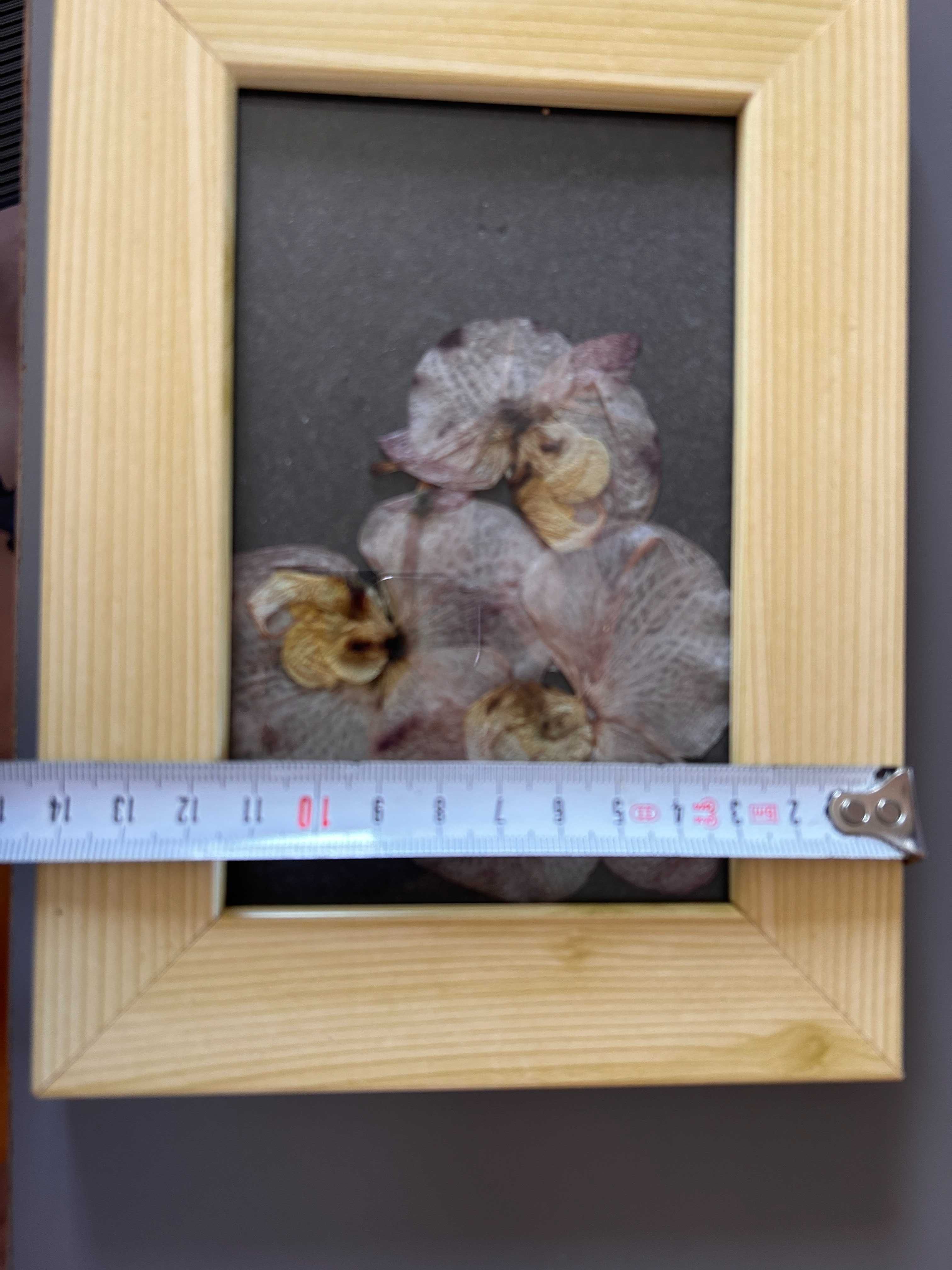 Quadro/ moldura com folhas de orquidea