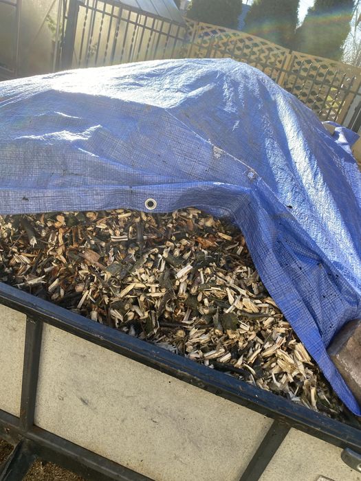 Sorzedam zrębke drzewną