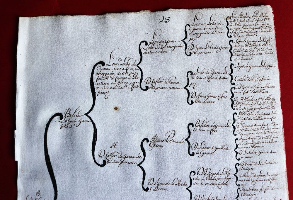 Costados de João Lobo da Gama, Évora 1746