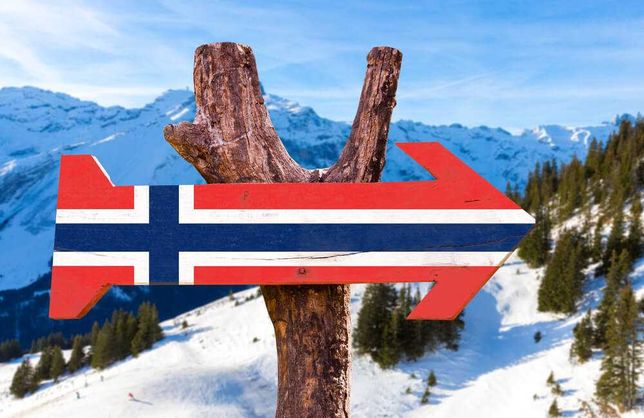Zwiększ rynek swoich towarów - Eksport Norwegia - Sieć Dystrybucji