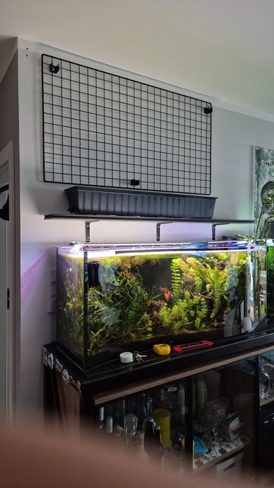 Akwarium 240l FALA + sprzęt
