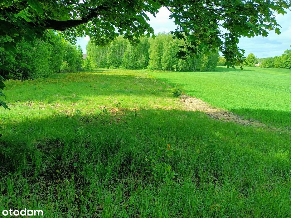 Działka 6800 m² blisko las, woda