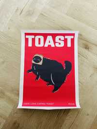 Plakat kot toast