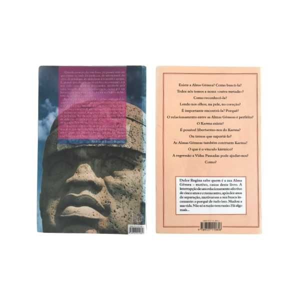 Livros Dulce Regina Alma gémea Alberto Beuttenmuller 2012 profecia