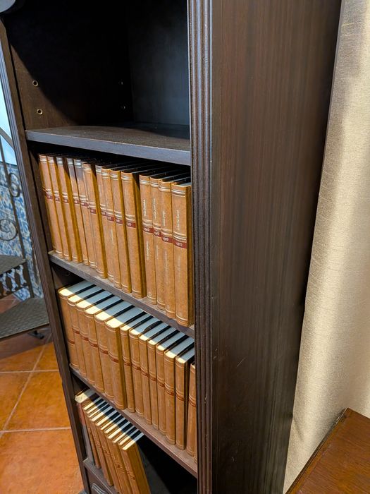 Movel de entrada madeira (livros incluídos)