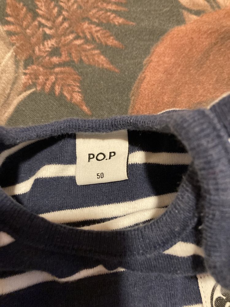 Zestaw 50/56 H&M PoP spodenki spiochy polarn o pyret