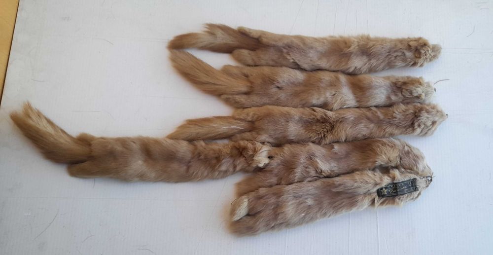 Estola em peles de marta da casa Martinho