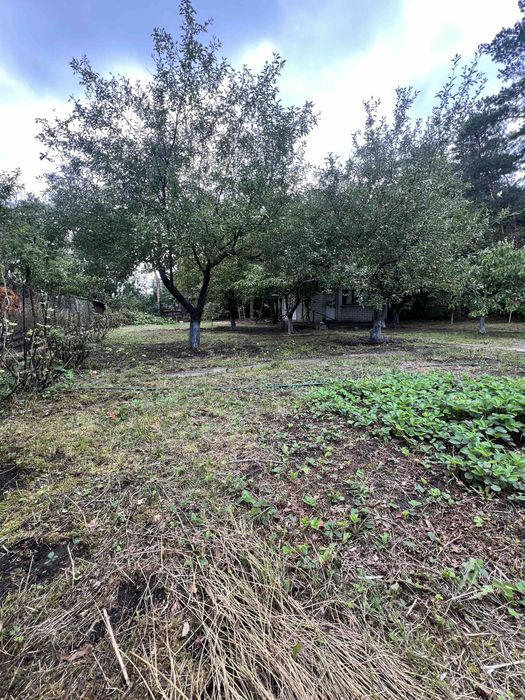 Дача кооператив Дніпро