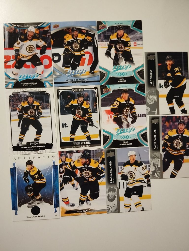 Boston Bruins karty NHL