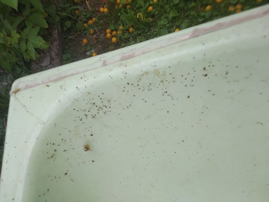 Ванна    Чугунна