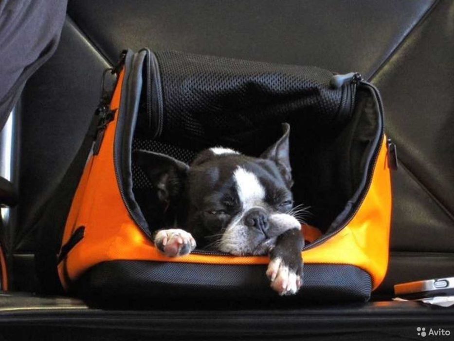 Перевозка животных за границу. Турция ЕС Прибалтика Норвегия