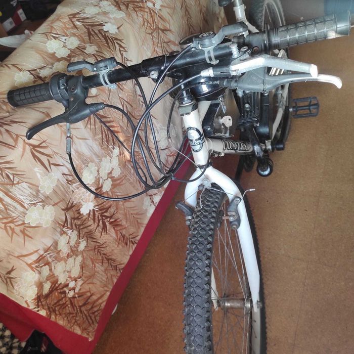 Bicicleta motor 80cc