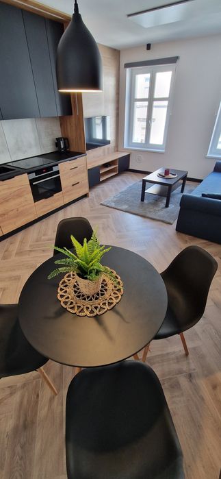 Apartament Książ wynajem dla max 4 osób