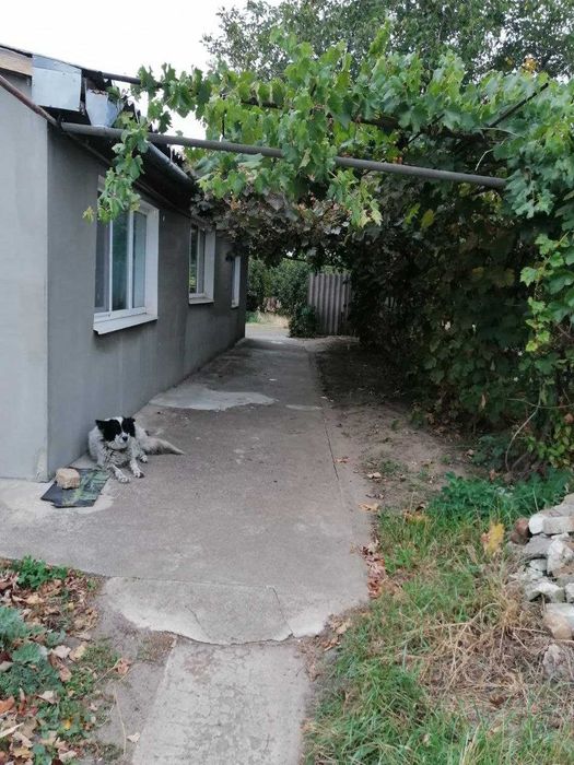 Продається будинок в смт Покровське