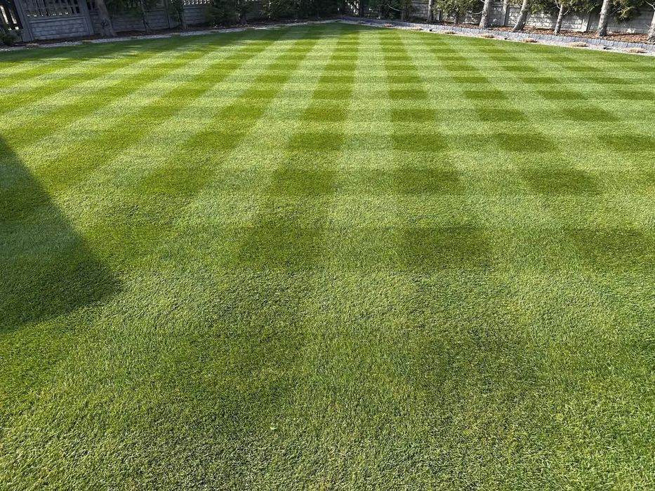 Zakładanie trawników, nawodnienia, usługi glebogryzarką separacyjną