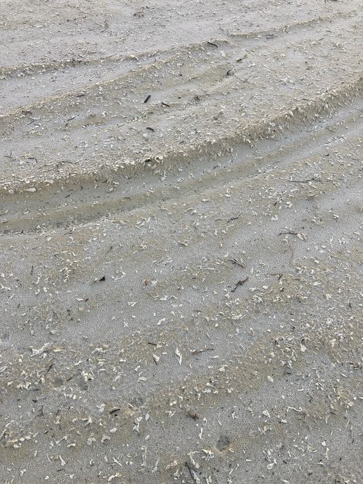 Vendo areia para picadeiro