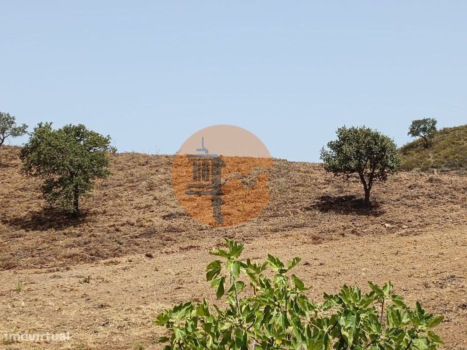 Terreno Rústico Com 16.880 M2 - Com Árvores - Fonte - Castro Marim ...