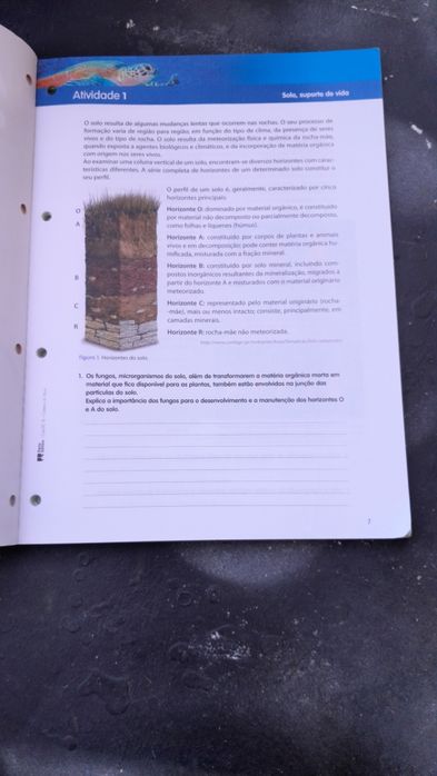 Caderno do Aluno CienTic Ciências Naturais 8.° ano