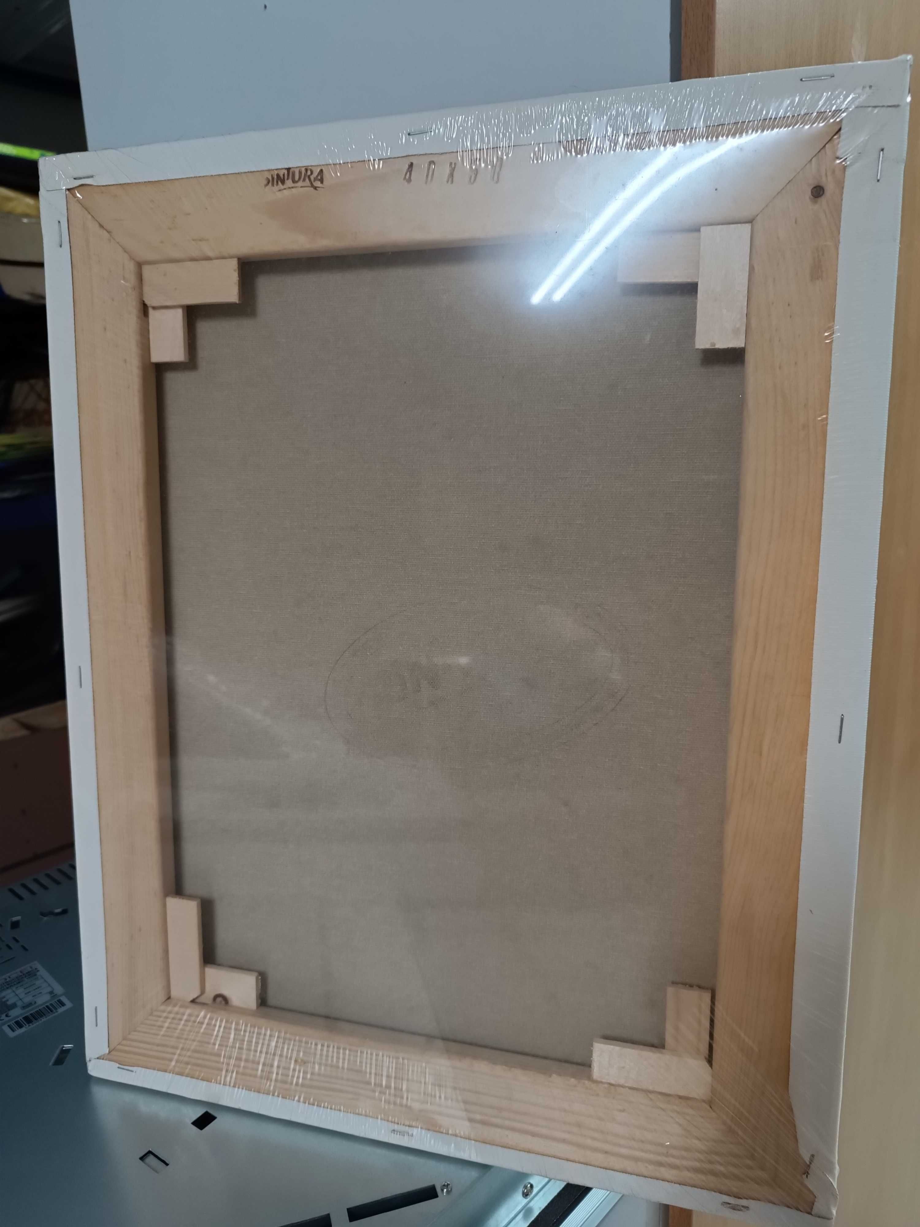 Tela de pintura nova
