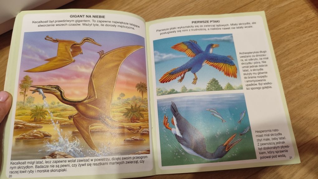 Świat w obrazkach Dinozaury i prehistoria