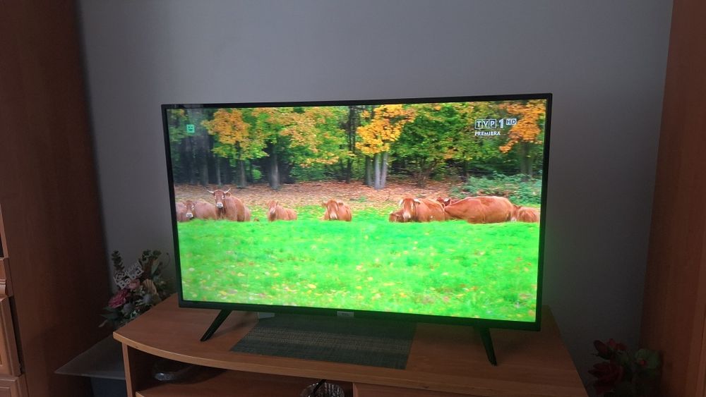 Telewizor Ultra Hd firmy TCL 43 cale Yotube Netfliks.