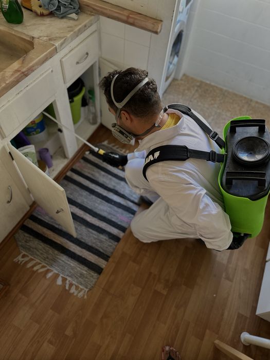 DESINFESTAÇÃO CONTROLO D EPRAGAS PERCEVEJOS BARATAS PULGAS TÉRMITAS