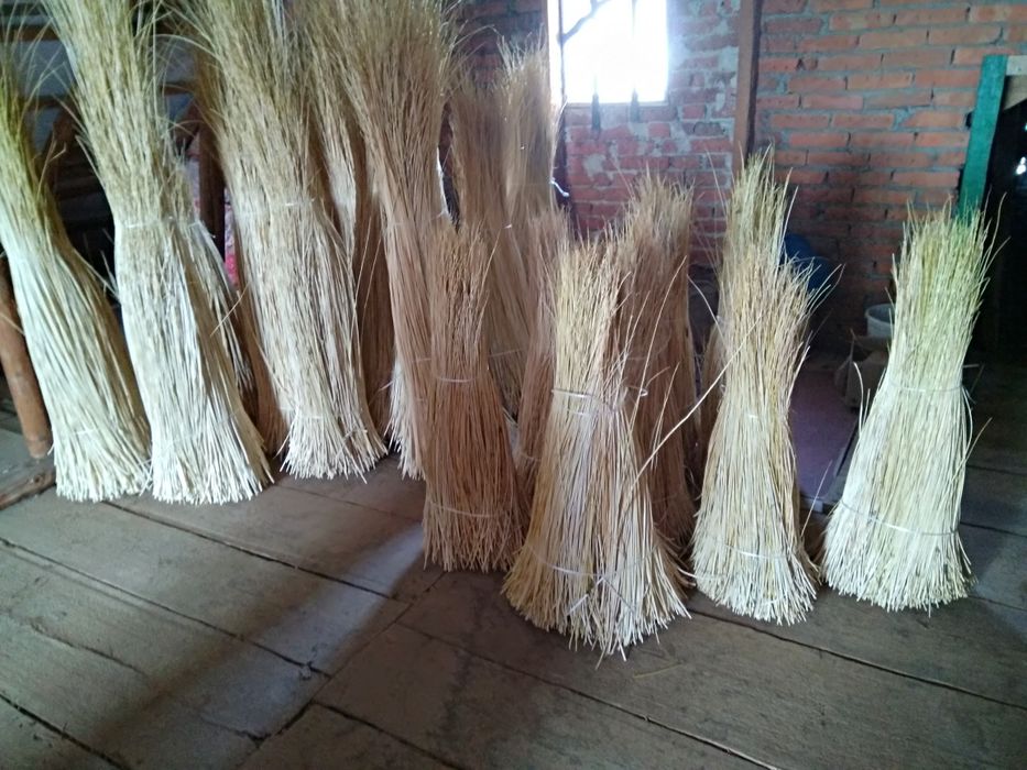 Лоза для плетіння біла до 2.80см