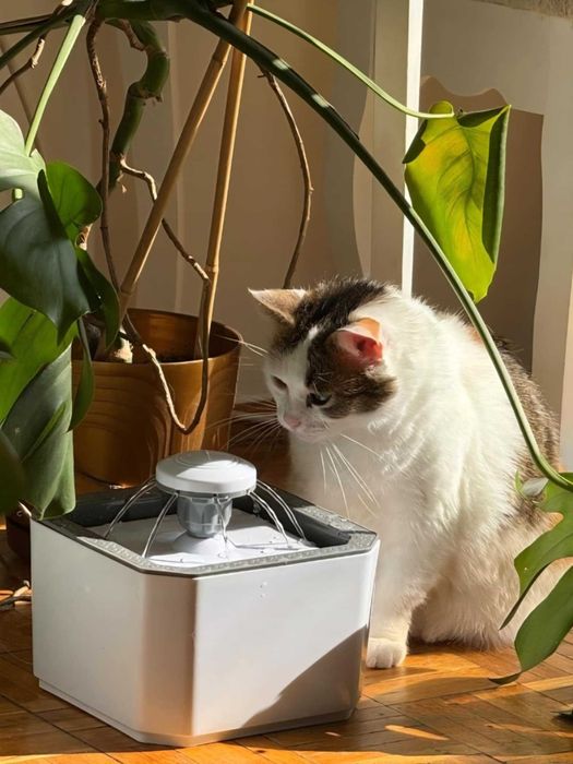 Poidło dla Zwierząt Automatyczne Fontanna Wodna Miska + 3 filtry