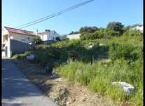 Terreno Urbano, Mira de Aire
