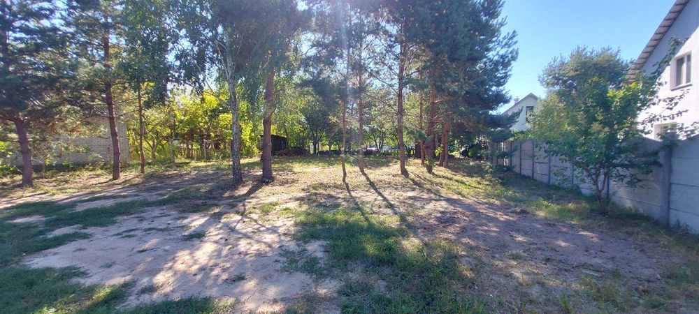 Продаж ділянки с.Варовичі біля озера + світло  + сосни