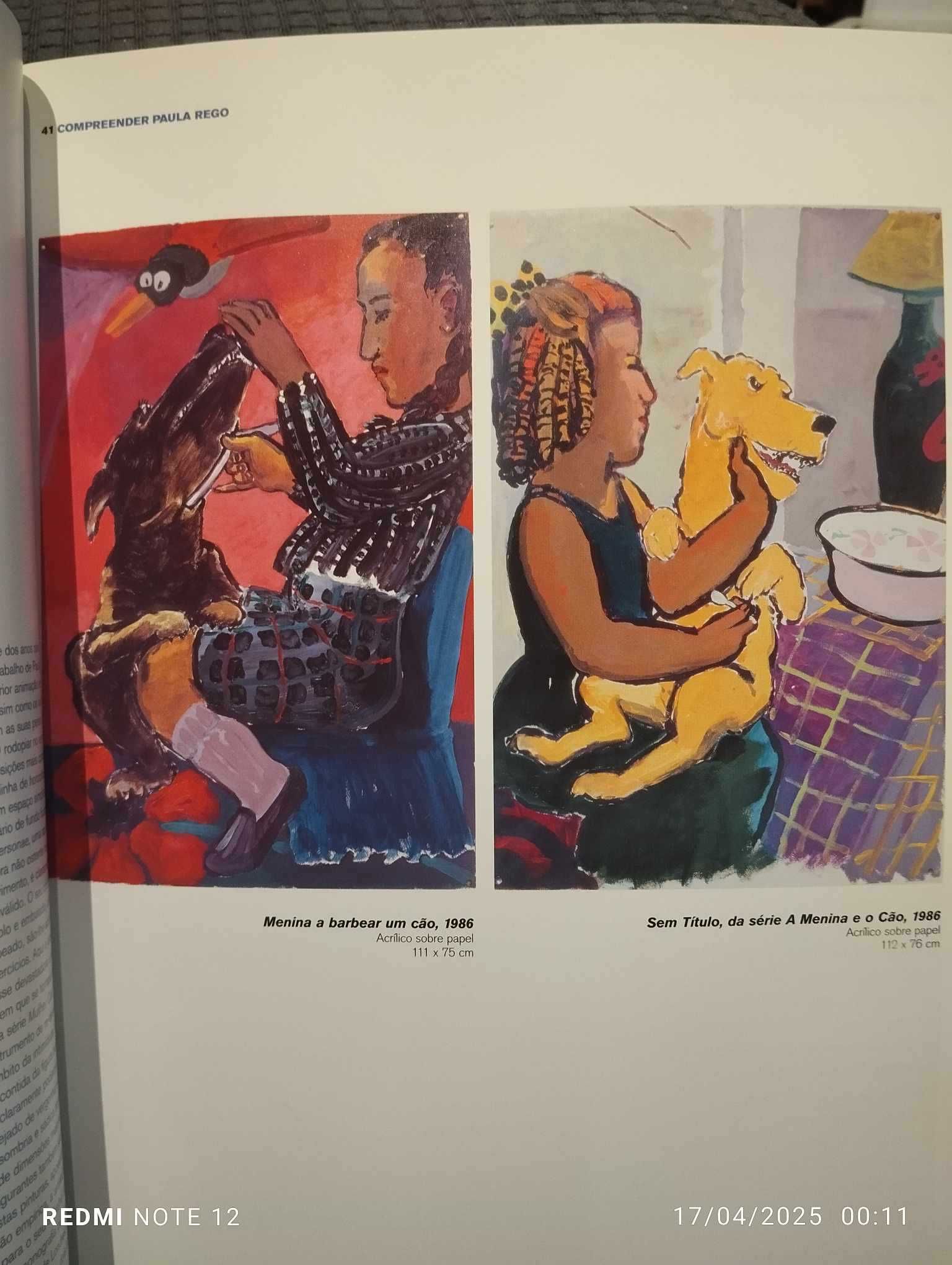 Livro - Compreender Paula Rego - 25 Perspectivas