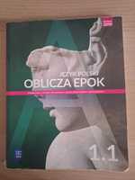 Język Polski Oblicza Epok 1.1 WSiP