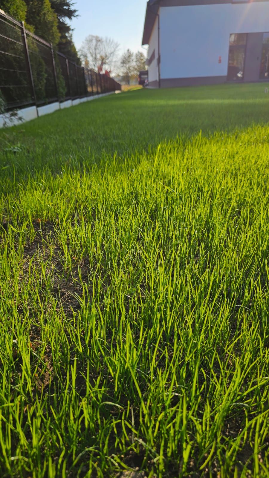 Usługi glebogryzarką separacyjną zakładanie trawników i ogrodów