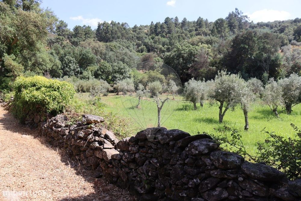 Terreno  para venda