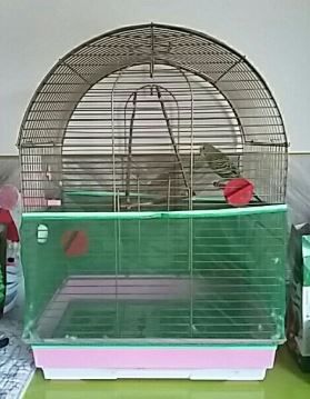 Rede resguardo para gaiolas, saias para fundo gaiolas medias