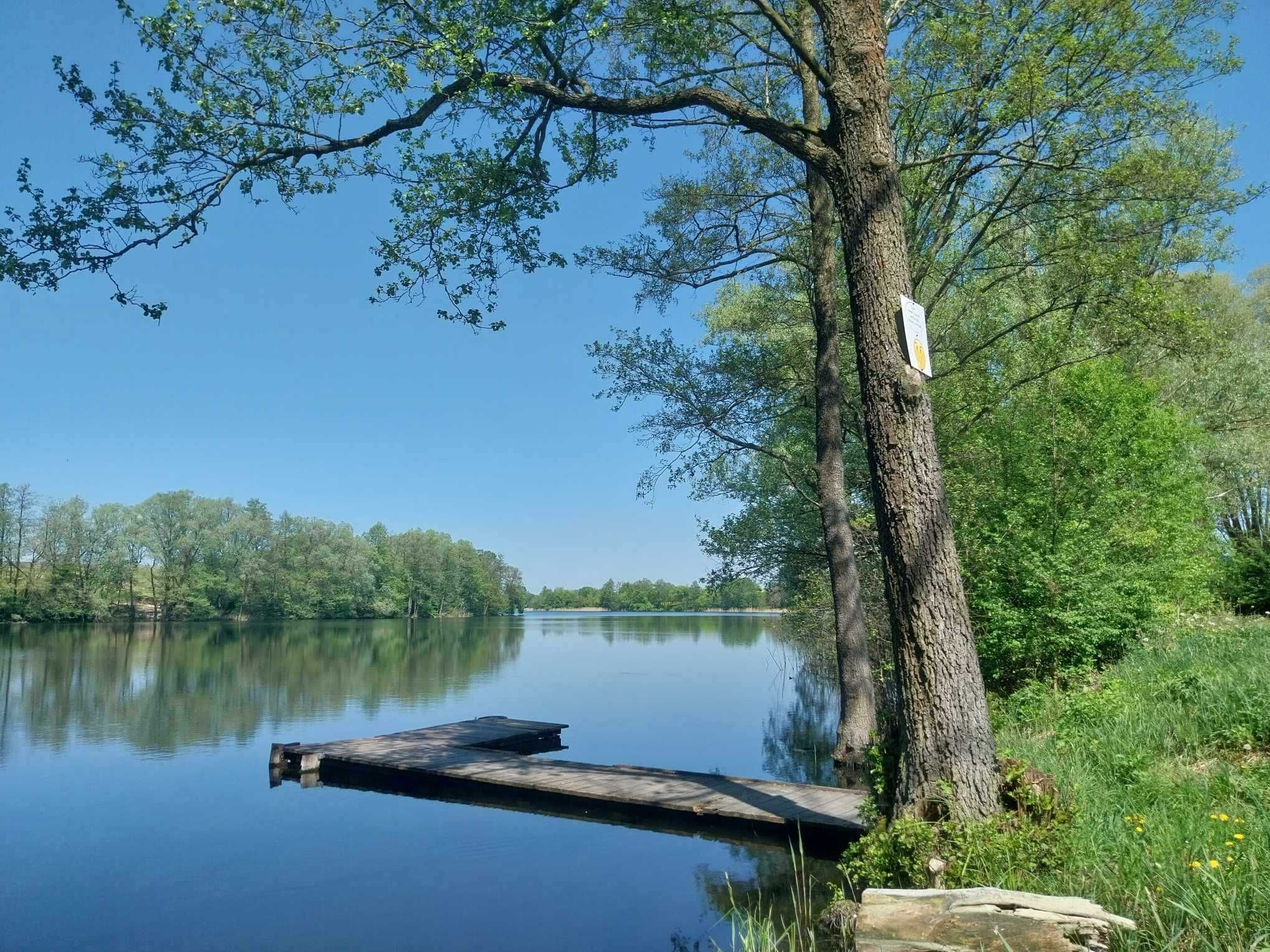 Działka nad jeziorem Trąbińskim na Pojezierzu Dobrzyńskim