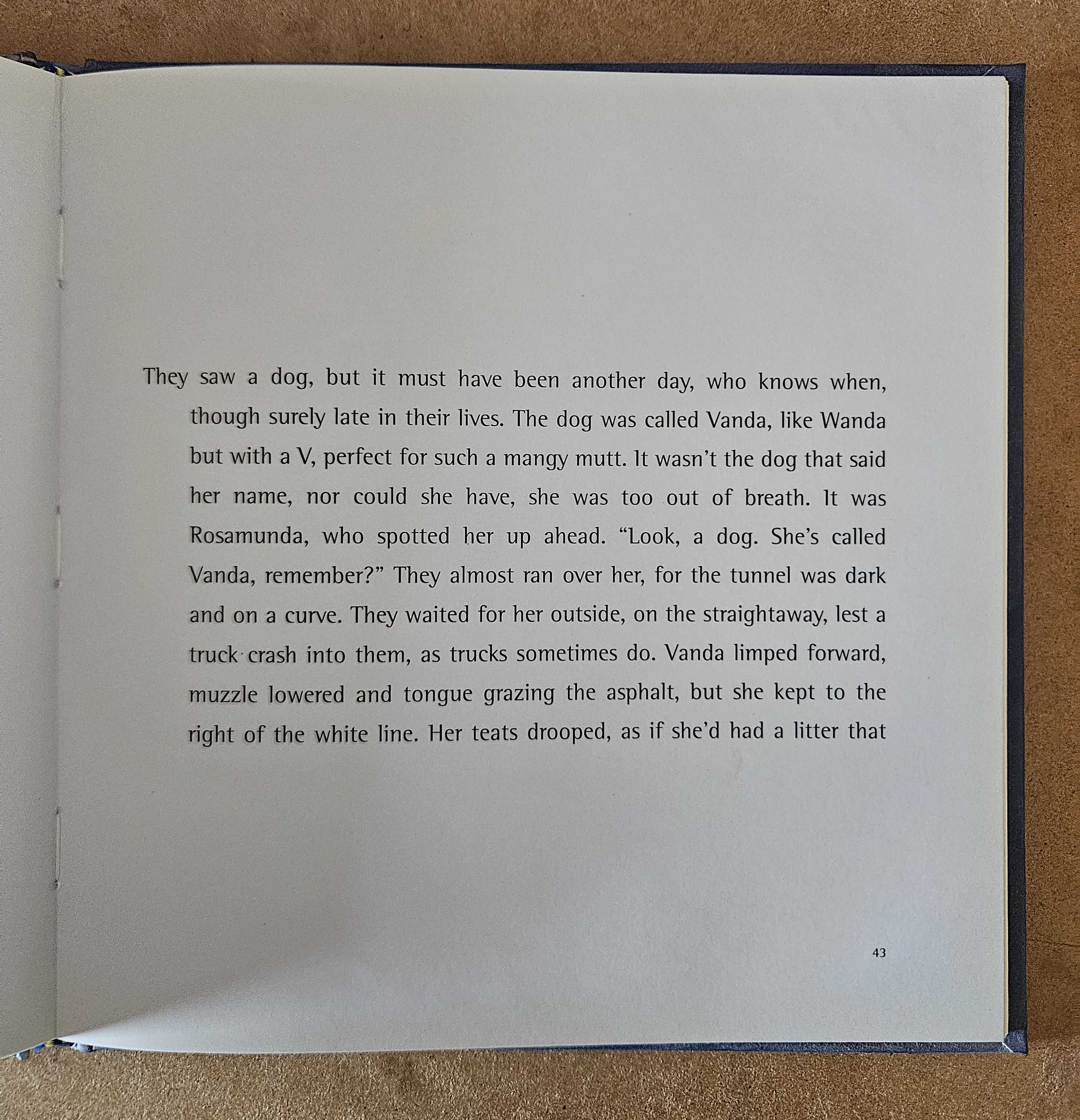 Livro Fogo (Fuoco/Fire) - Paula Rego e Antonio Tabucchi