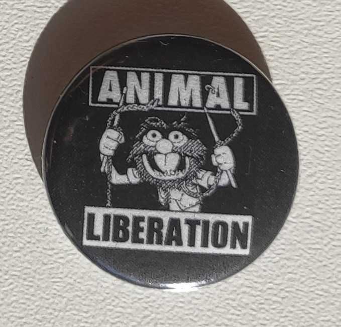 Przypinka: animal liberation
