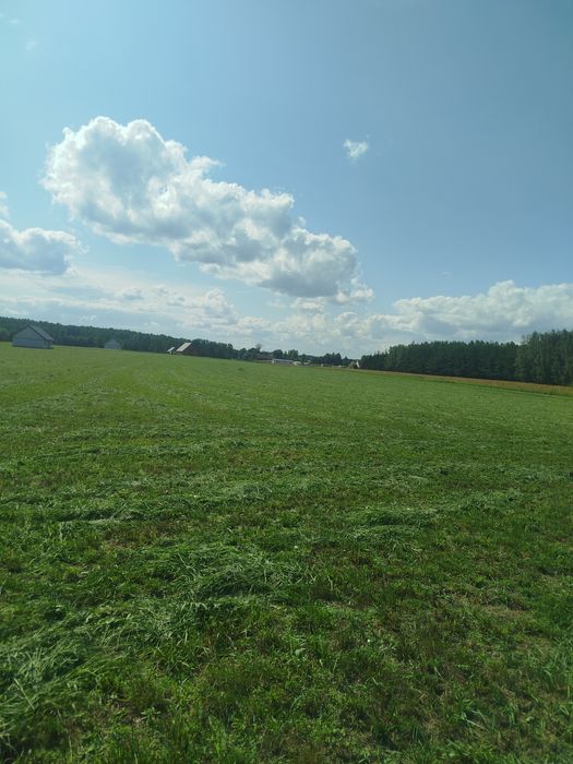 Sprzedam działkę na mazurach obręb Rostki gm.Pisz