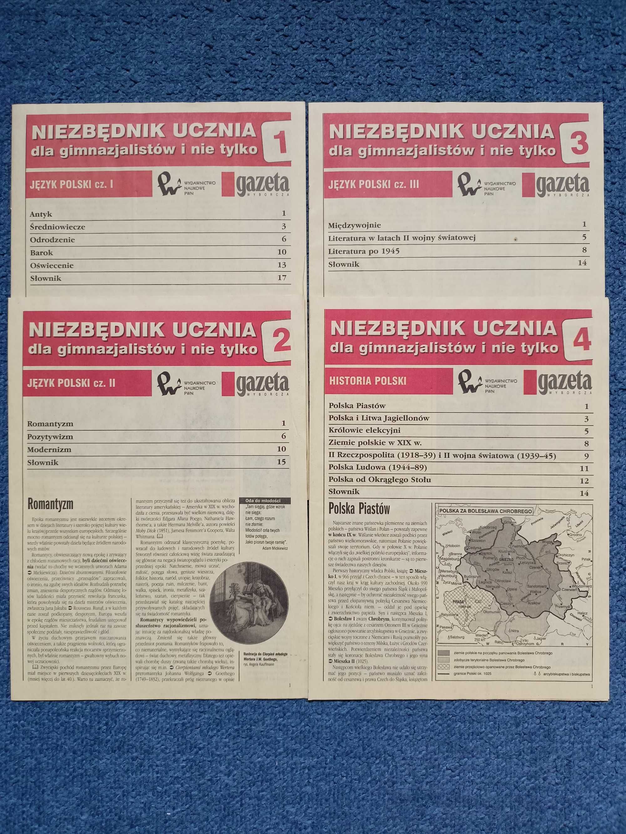 Gazeta Wyborcza PWN kolekcja Niezbędnik ucznia 8 zeszytów + teczka