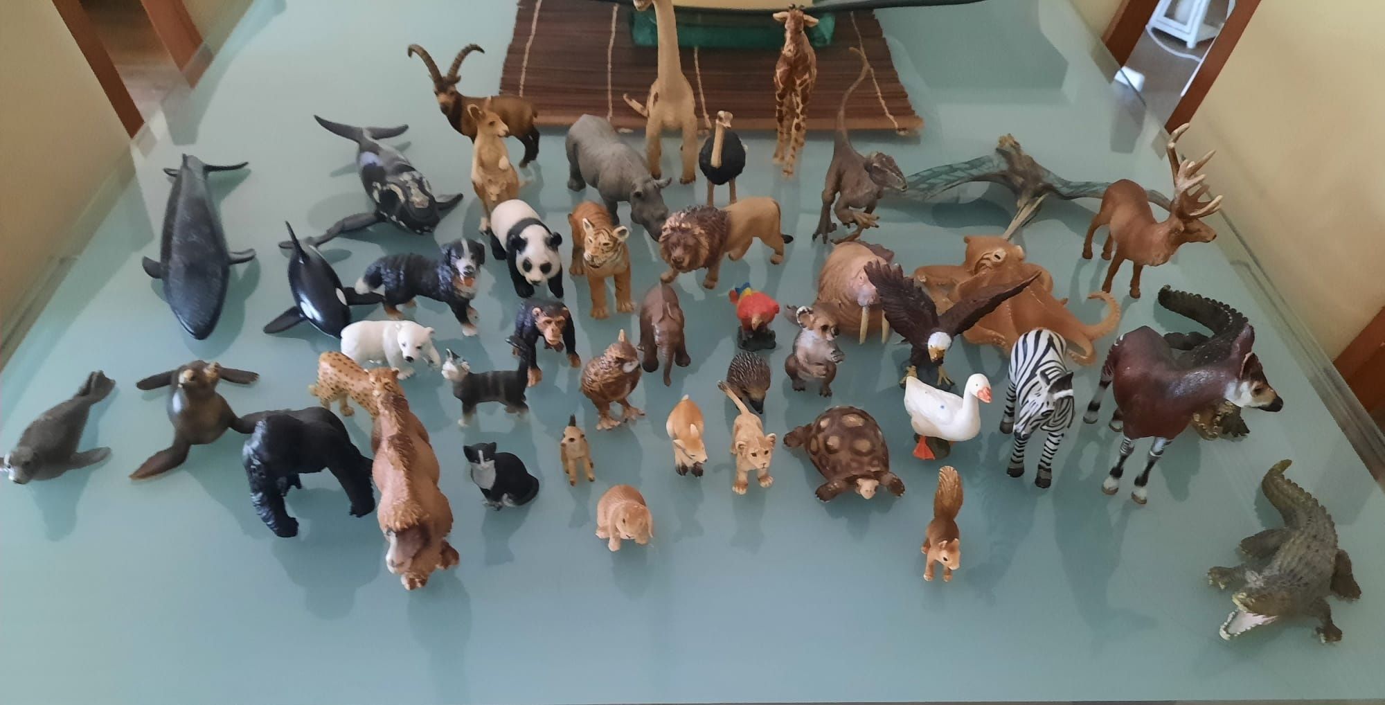 Animais Imaginarium