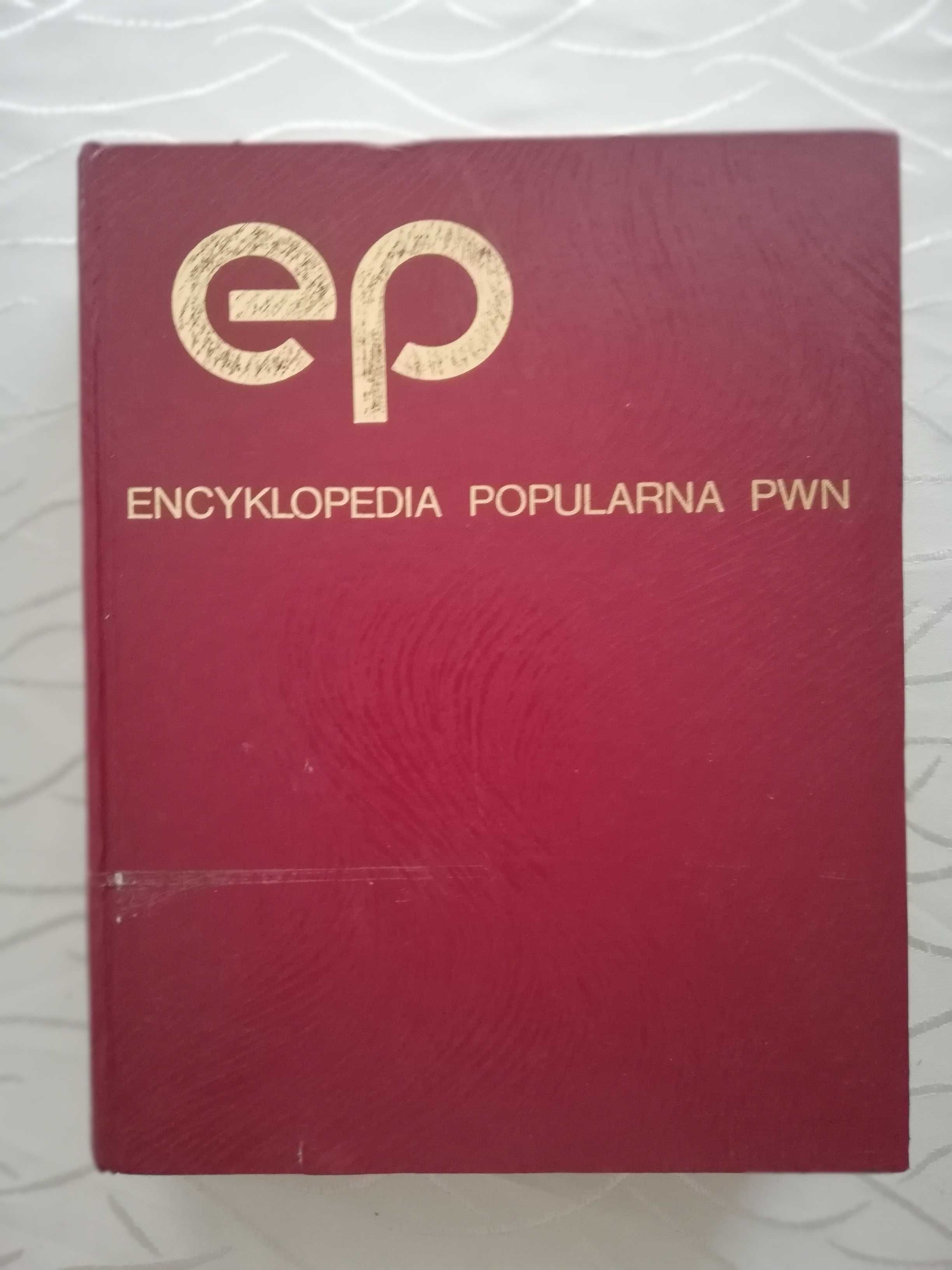 Słownik Polsko -Angielski 1-2 i 3 tom,Encyklopedia Popularna PKWN